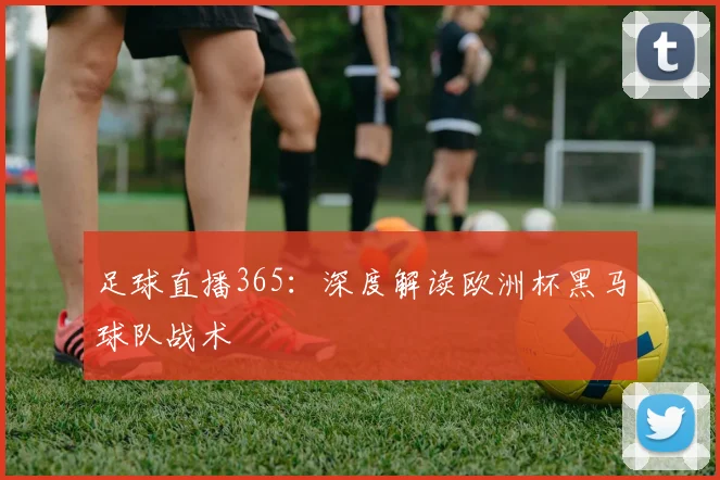 足球直播365：深度解读欧洲杯黑马球队战术