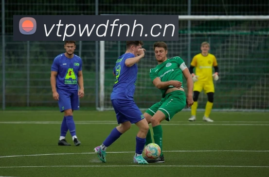 App Interface Preview