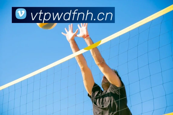 开云app官方版在线入口APP 封面图